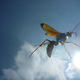 Illustration for article titled Shooting Challenge: Bugs Gallery (Part 3)